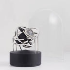 Planet Silver - Black Base Bernard Favre