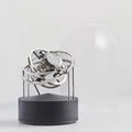 Planet Silver - Black Base - Leather Bernard Favre