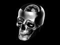 Skull Silver Bernard Favre