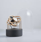 102900_PLANET_WBG_GOLDR-BLACKB - Copie_edited.jpg